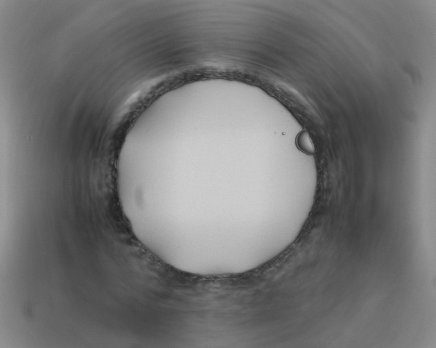 X0000113540776200910161411