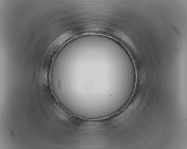 X0000113540777200910161411