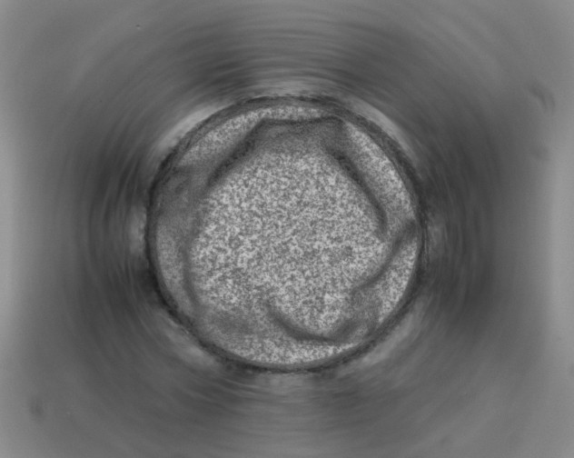 X0000113540778200910161411