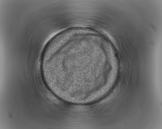 X0000113540779200910161411
