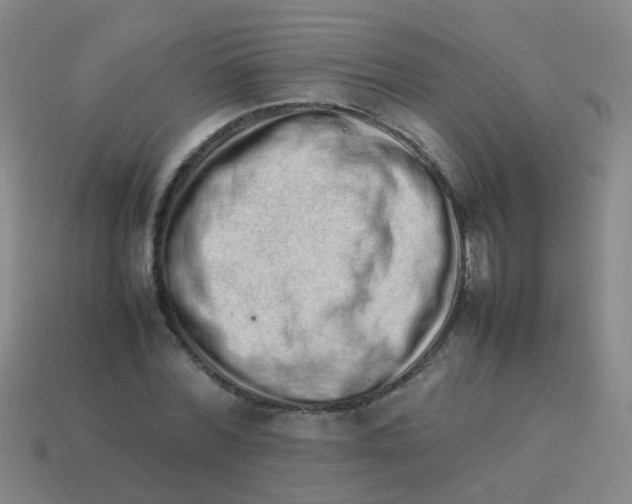X0000113540780200910161411