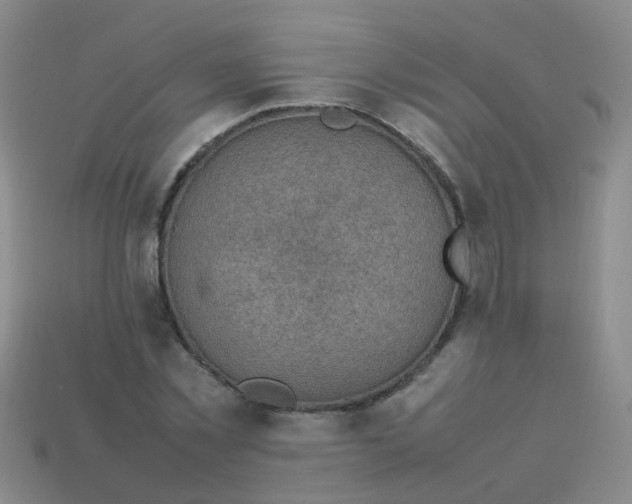 X0000113540781200910161411