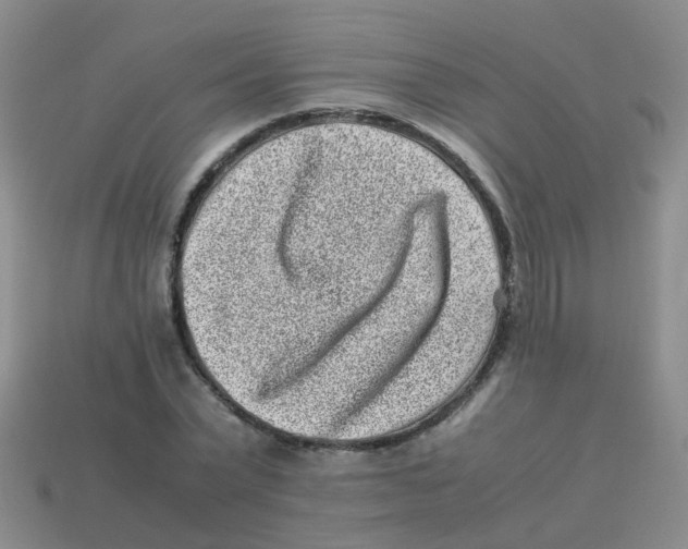 X0000113540783200910161411