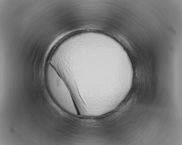X0000113540784200910161411