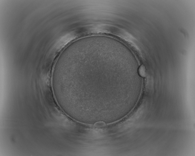 X0000113540785200910161411