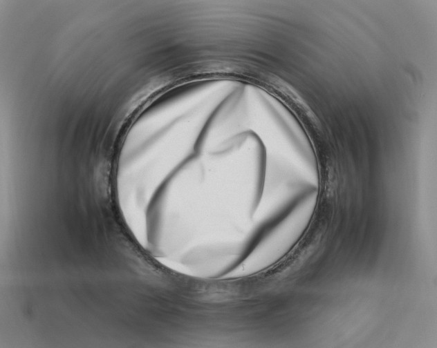 X0000113540786200910161411