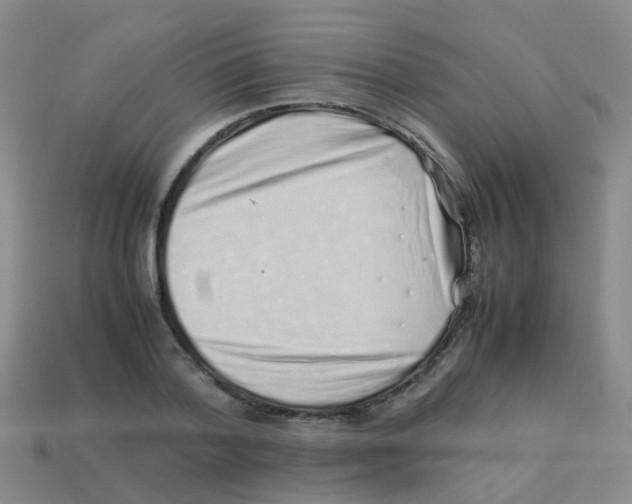 X0000113540788200910161411