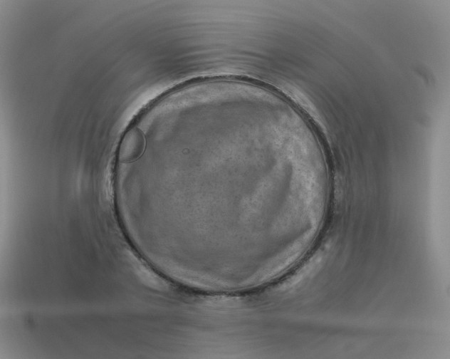 X0000113540789200910161411