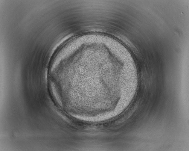 X0000113540790200910161411