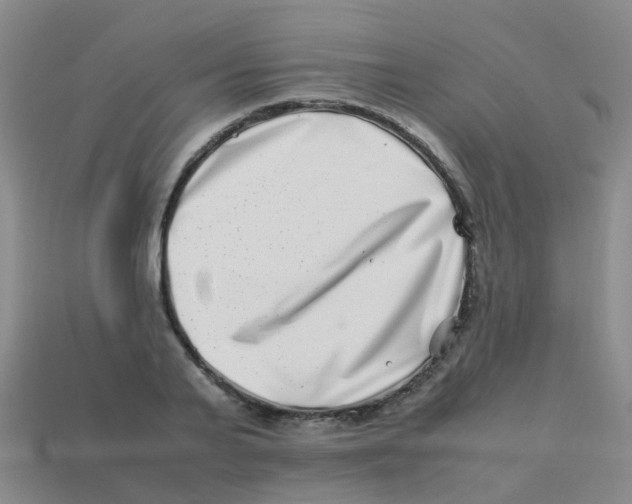 X0000113540791200910161411