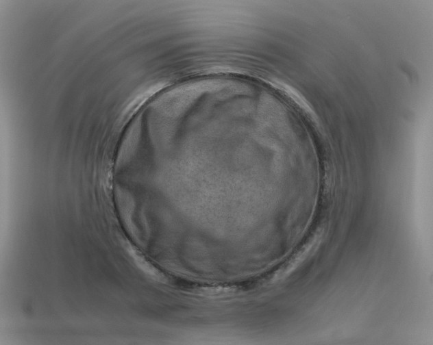X0000113540793200910161411