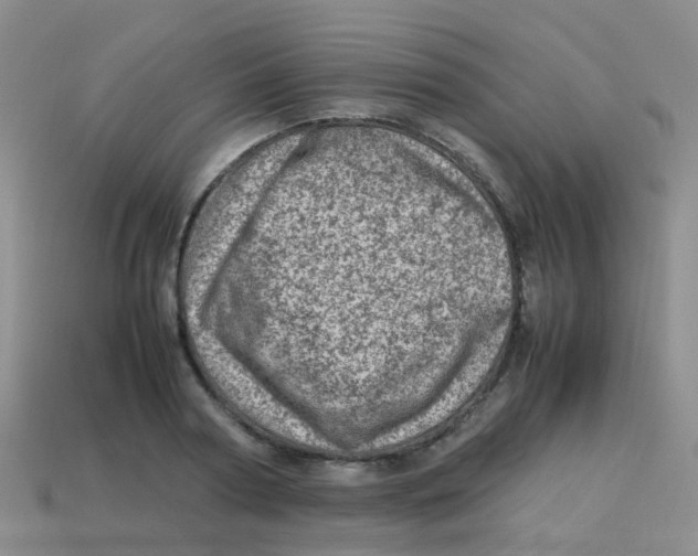 X0000113540794200910161411
