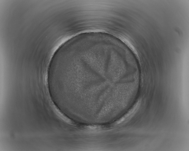 X0000113540797200910161411