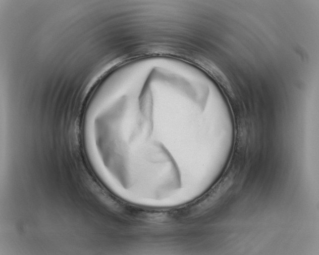 X0000113540798200910161411