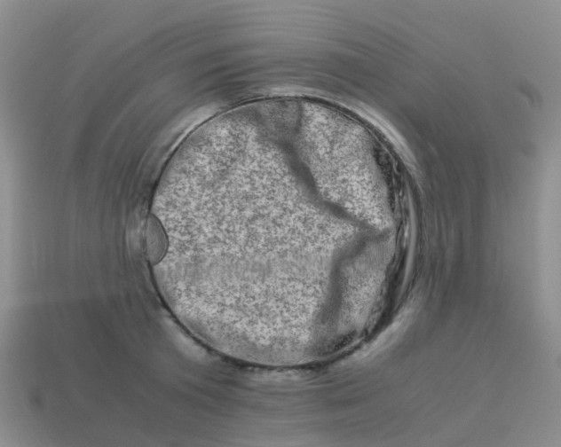 X0000113540801200910161411