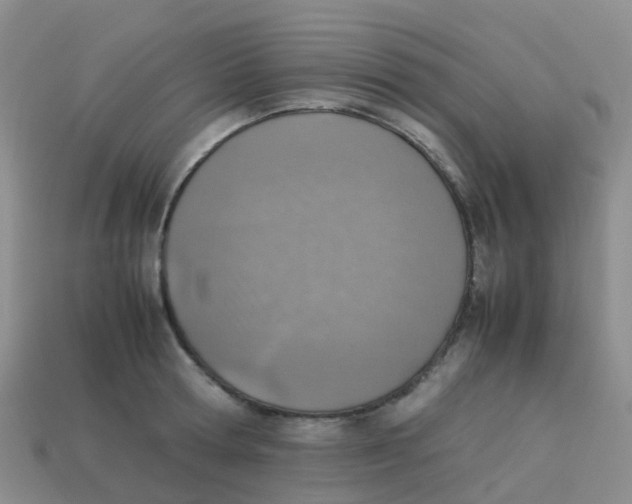 X0000113540802200910161411