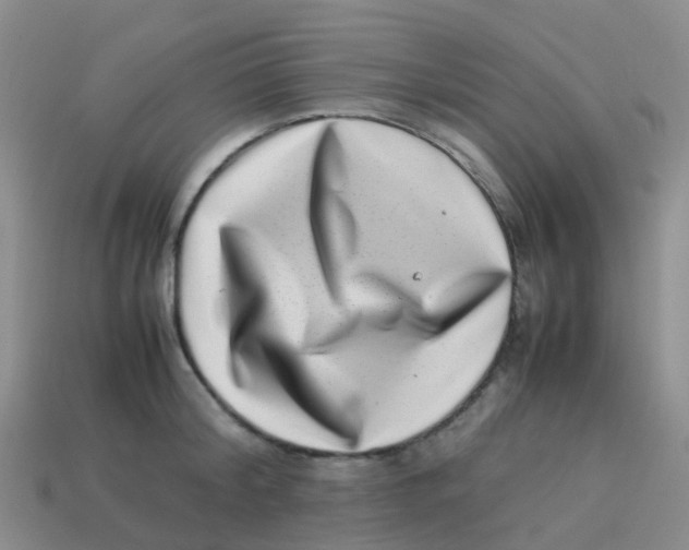 X0000113540804200910161411