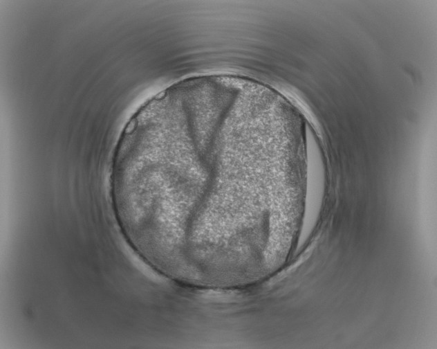 X0000113540805200910161411