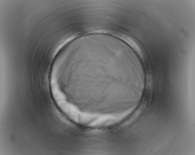X0000113540806200910161411