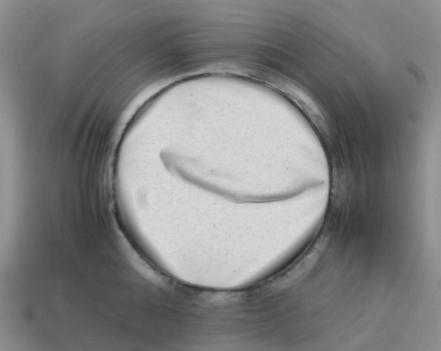 X0000113540808200910161411