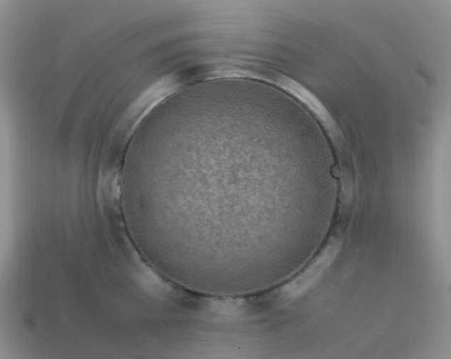 X0000113540809200910161411