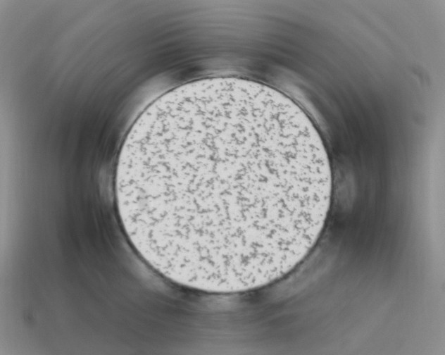 X0000113540810200910161411