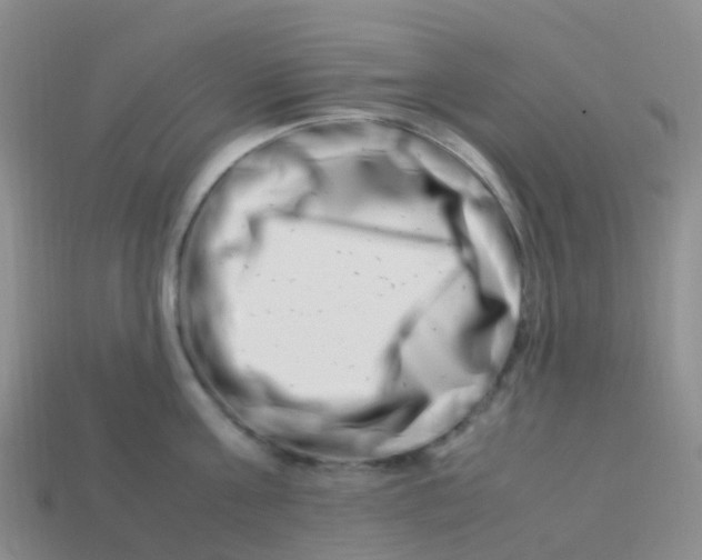X0000113540811200910161411