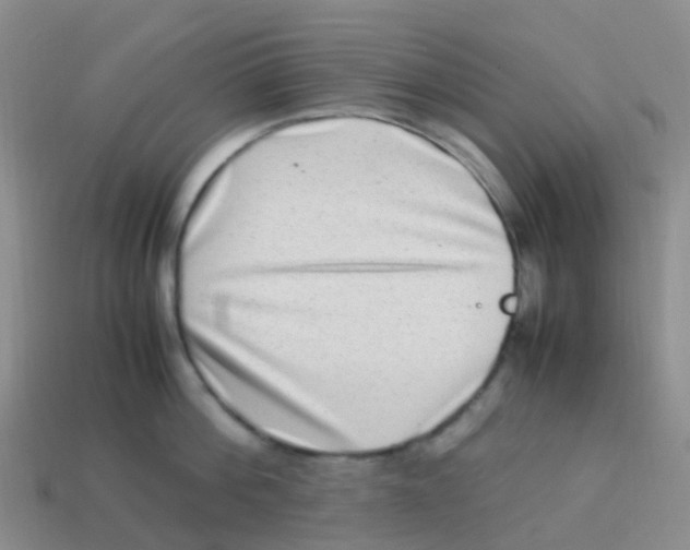 X0000113540812200910161411