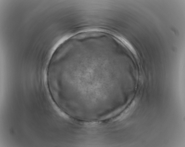 X0000113540813200910161411