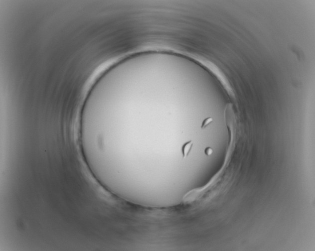 X0000113540815200910161411