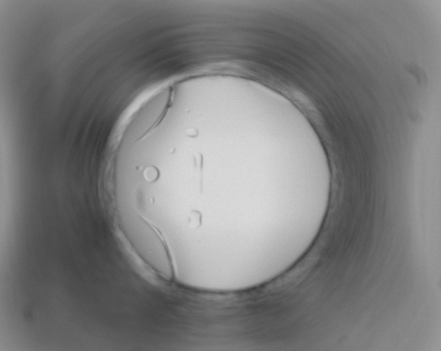 X0000113540816200910161411