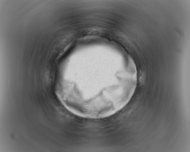 X0000113540819200910161410