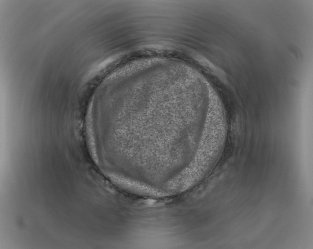 X0000113540822200910161410