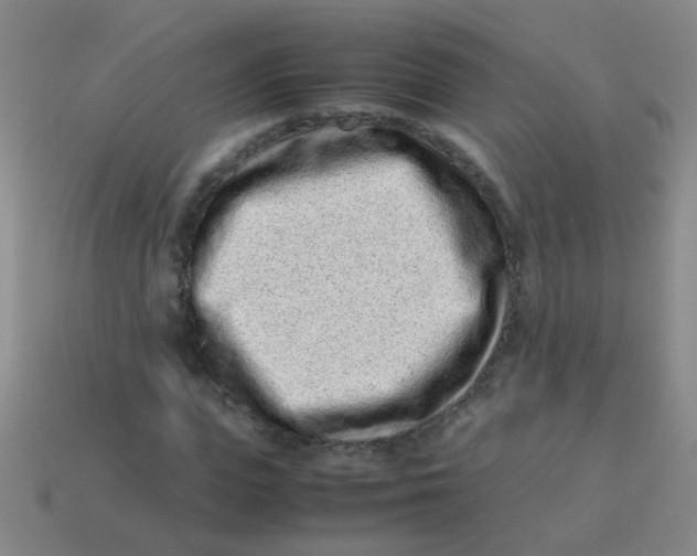 X0000113540823200910161410