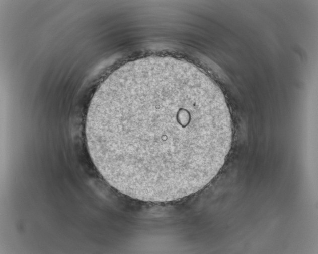 X0000113540824200910161410