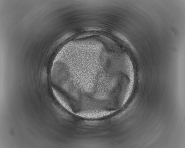 X0000113540825200910161410