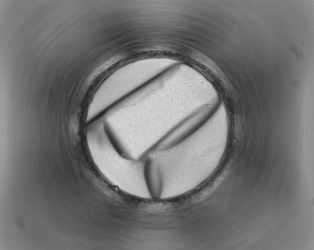 X0000113540826200910161410