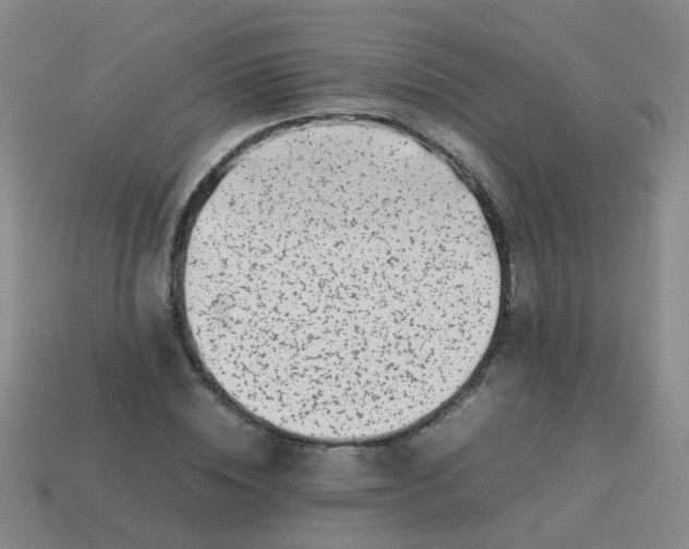 X0000113540828200910161410