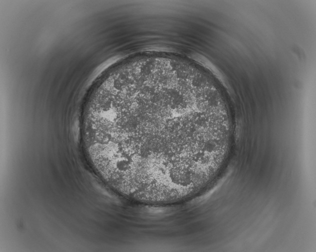 X0000113540829200910161410
