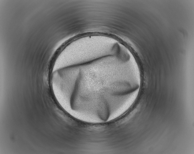 X0000113540830200910161410
