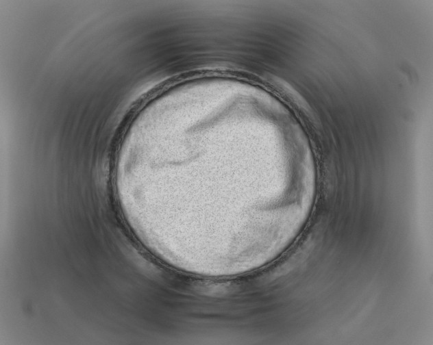 X0000113540831200910161410