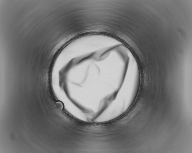 X0000113540834200910161410