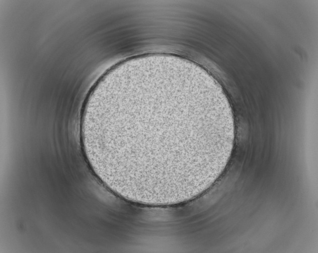 X0000113540836200910161410