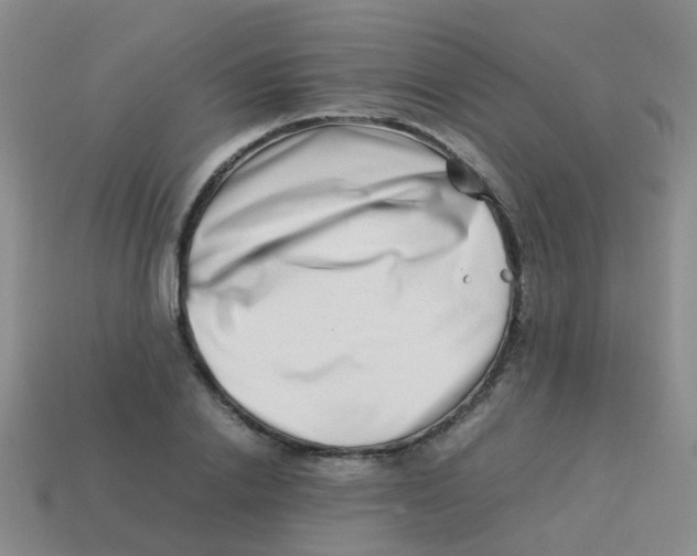 X0000113540838200910161410