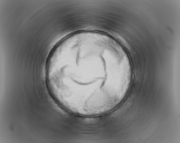 X0000113540839200910161410