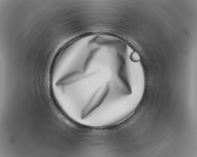 X0000113540840200910161410