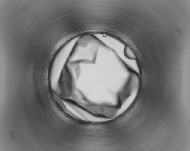 X0000113540842200910161410
