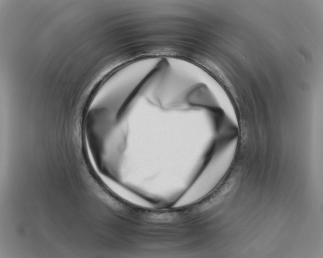 X0000113540843200910161410