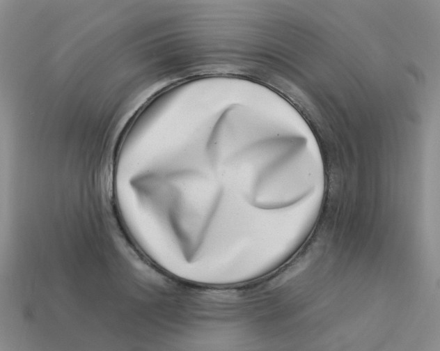 X0000113540844200910161410
