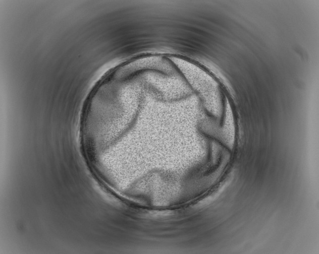 X0000113540845200910161410